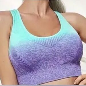Jockey Teal and Navy Ombre Sports Bra